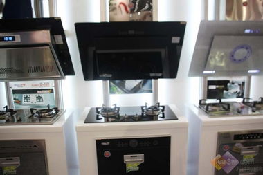 2010順德家電展 華強(qiáng)集團(tuán)全系家用電器閃耀登場(chǎng)